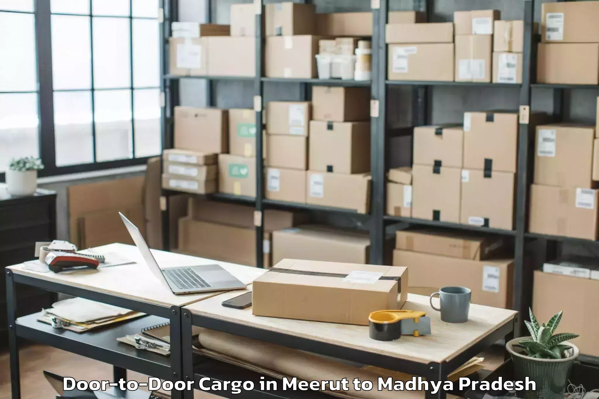 Expert Meerut to Jabera Door To Door Cargo